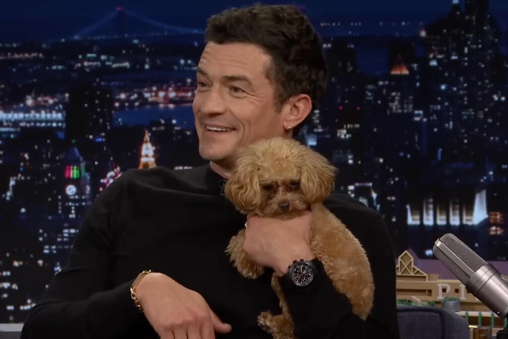 Orlando Bloom, actor: "Mi perro es maravilloso, me ayuda a mantener los pies en la tierra y aporta calma a mi día a día"