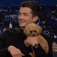 Orlando Bloom, actor: "Mi perro es maravilloso, me ayuda a mantener los pies en la tierra y aporta calma a mi día a día"