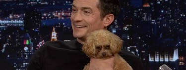 Orlando Bloom, actor: "Mi perro es maravilloso, me ayuda a mantener los pies en la tierra y aporta calma a mi día a día"