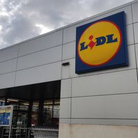 Llegan a Lidl (la semana que viene) dos soluciones baratas para ganar privacidad en balcones, terrazas y jardines