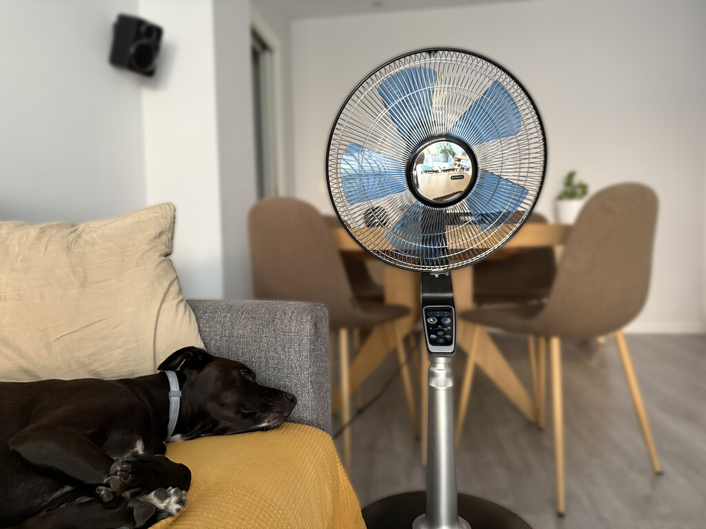 Dormir toda la noche con el ventilador encendido parece una gran idea. La realidad es muy distinta