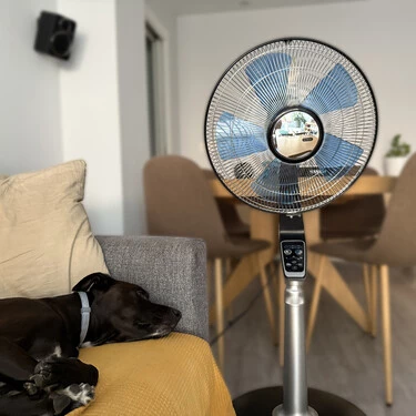 Ventilador