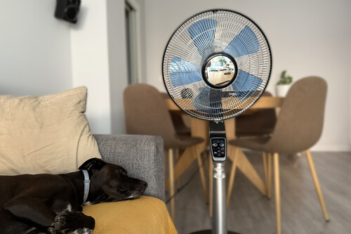 Dormir toda la noche con el ventilador encendido parece una gran idea. La realidad es muy distinta