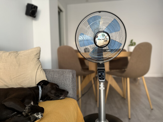 Ventilador