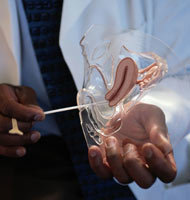 Primer trasplante de útero en Estados Unidos