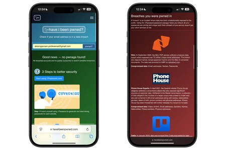 「Have I Been Pwned」Web サイトで起こり得る否定的な結果と肯定的な結果の他の 2 つの例