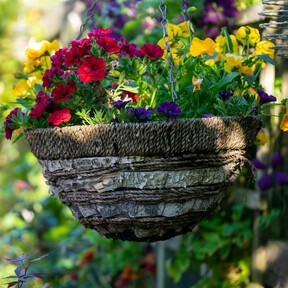 Lo nuevo de Ikea es esta planta colgante para el jardín ideal para decorar con gusto terrazas y balcones pequeños por menos de 10 euros 