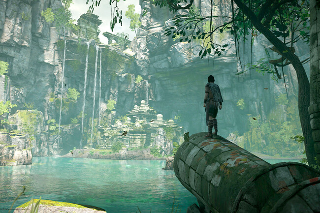 "Yo quiero que me den 200 millones de dólares"- No hay que perder la esperanza a pesar de que han pasado 10 años. La película de Shadow of the Colossus sigue viva