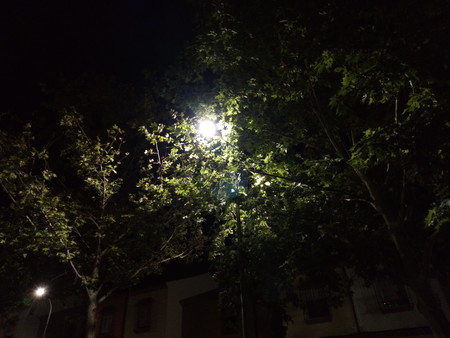 Análisis del Alcatel 1X