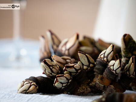 Percebes de sol