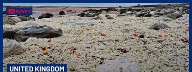 Comida para todo lado: tempestades espalham toneladas de batatas fritas congeladas e cebolas em praias 