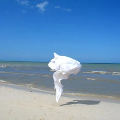 Foto 3 de 6 de la galería william-hundley en Xataka Foto