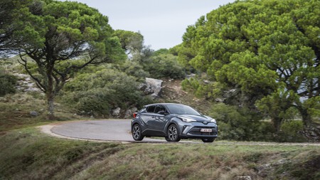 C-HR bosque