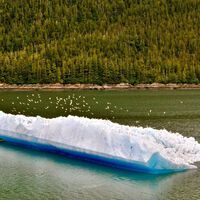 En 1977 llevaron un bloque de hielo de una tonelada desde Alaska hasta Iowa con un solo propósito: descubrir si los icebergs podían proporcionar agua dulce 