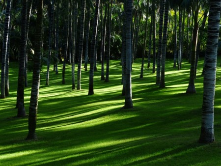 Celebramos la primavera en los 7 jardines más bonitos del mundo