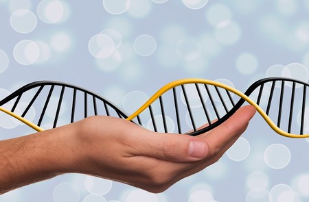 Dejando de ser Homo sapiens gracias a la ingeniería genética