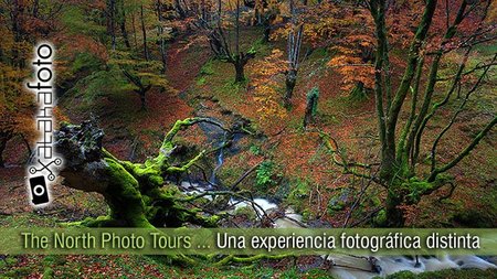The North Photo Tours: Una experiencia fotográfica distinta