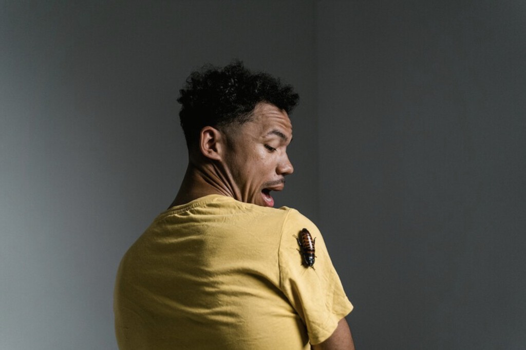 La presencia de cucarachas en casa no es sólo falta de limpieza. Mucha gente las asocia con estas causas