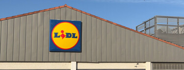 Ya en Lidl esta freidora de aire doble retro de 2.600 W por 79,99 euros: ideal para familias o cocinar un principal y guarnición