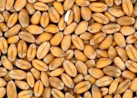 La crisis alimentaria que anunciamos ya está aquí, y las soluciones que están empleando algunos países solo agravará el problema
