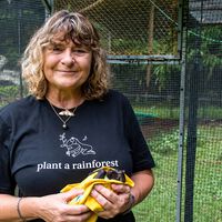 Una mujer compró un terreno de caña de azúcar, plantó 119.000 árboles y 10 años después se convirtió en una selva 