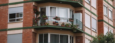 La planta perfecta para un balcón sin sol directo que cambia de color a lo largo del año 