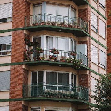 La planta perfecta para un balcón sin sol directo que cambia de color a lo largo del año 