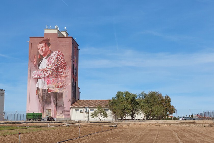 Este pueblo manchego no guarda en su silo cereales sino el mejor secreto del queso manchego
