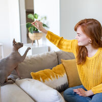 ¿Dejas que tu gato juegue con tus manos? Esta es la razón por la que no deberías, y cómo sí hacerlo 