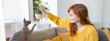 ¿Dejas que tu gato juegue con tus manos? Esta es la razón por la que no deberías, y cómo sí hacerlo 