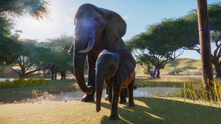Primeras horas con Planet Zoo, o cómo un majestuoso elefante me trajo la ruina en cuestión de segundos