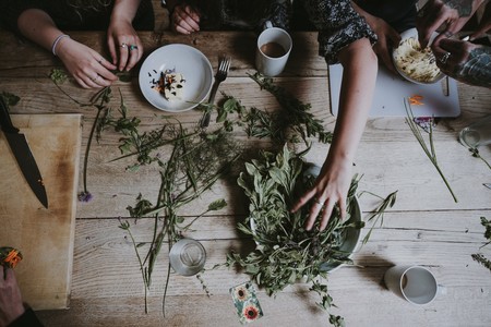 Los adaptógenos o plantas contra el estrés: la ciencia nos dice si realmente funcionan