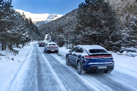 Ice Experience Prensa 096