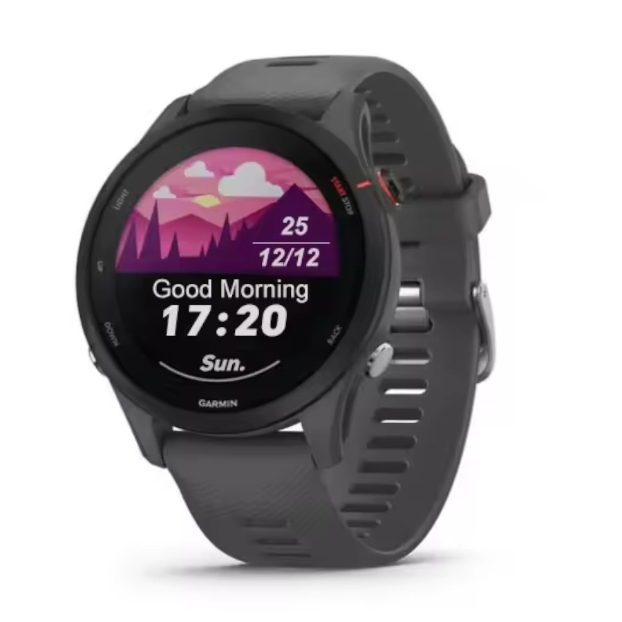 Garmin Forerunner 255