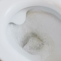 O truque viral de jogar vinagre ao redor do vaso sanitário, sob a lupa da ciência: o que é mito e o que é química?
