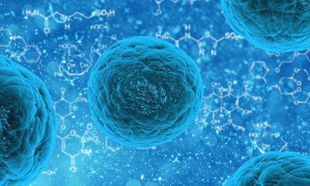 Las células usan azúcares para comunicarse a nivel molecular