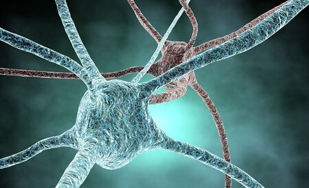 Nootrópicos: Qué son y qué beneficios nos pueden aportar