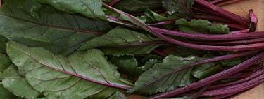 Es uno de los alimentos más saludables del mundo, pero casi todo el mundo lo tira a la basura: por qué deberías guardar las hojas de la remolacha