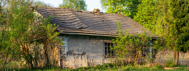 Una familia quiso vivir solo con paneles solares, agua de pozo y un huerto. Hasta que Italia le quitó a sus hijos 