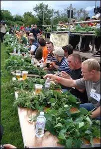 Campeonato mundial de comer ortigas