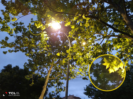 Análisis del TCL 10L