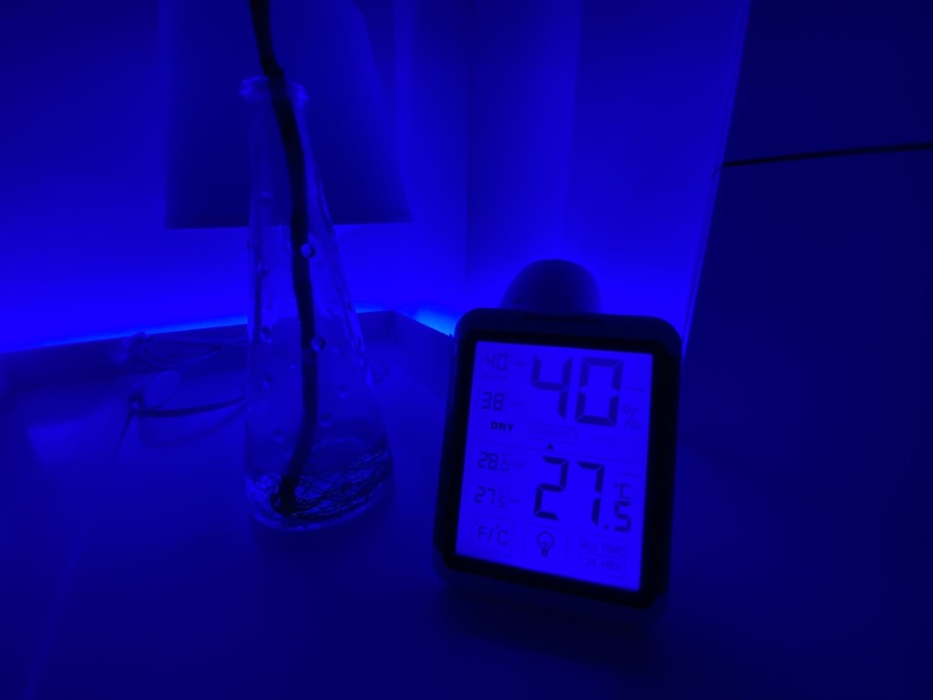 ¿No tienes aire acondicionado? El saber popular y la lógica te pueden ayudar a mantener fresco el ambiente en casa