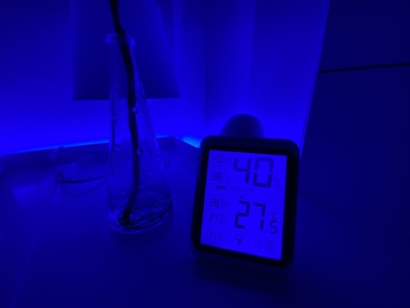¿No tienes aire acondicionado? El saber popular y la lógica te pueden ayudar a mantener fresco el ambiente en casa