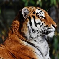 Cuando cobrar se convierte en un quebradero de cabeza