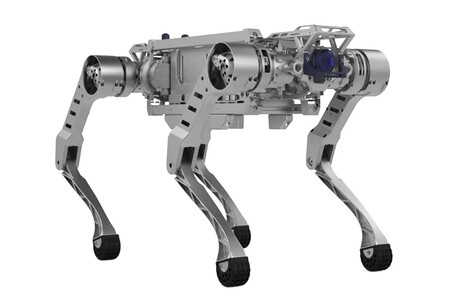 Perro Robot Montable