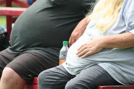 Una hormona que puede ser útil para combatir la obesidad