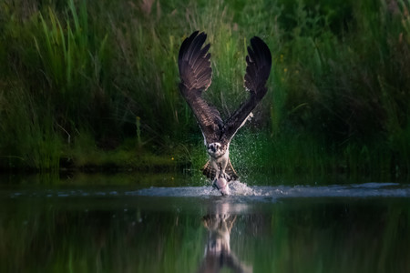 Estas son las sugerentes fotografías de naturaleza ganadoras del concurso 2020 National Parks of United Kingdom