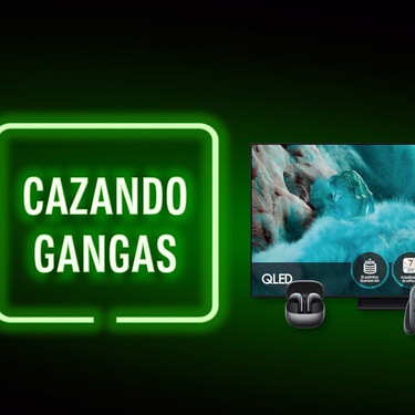 Cazando Gangas