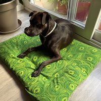 Dale una segunda vida a las sábanas viejas y pasadas: así las he reutilizado para hacer una cama de verano para mi perro