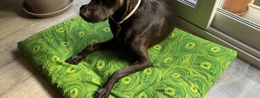 Ya no tiro las sábanas viejas: las reutilizo para hacerle a mi perro una cama de verano más fresca